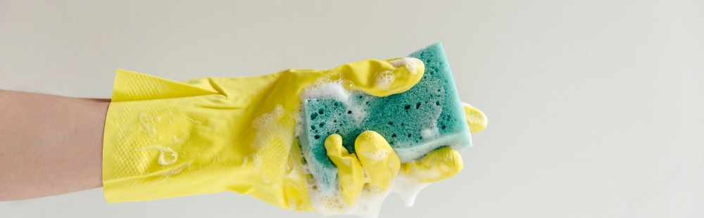 Yellow glove and blue sudsy sponge sl